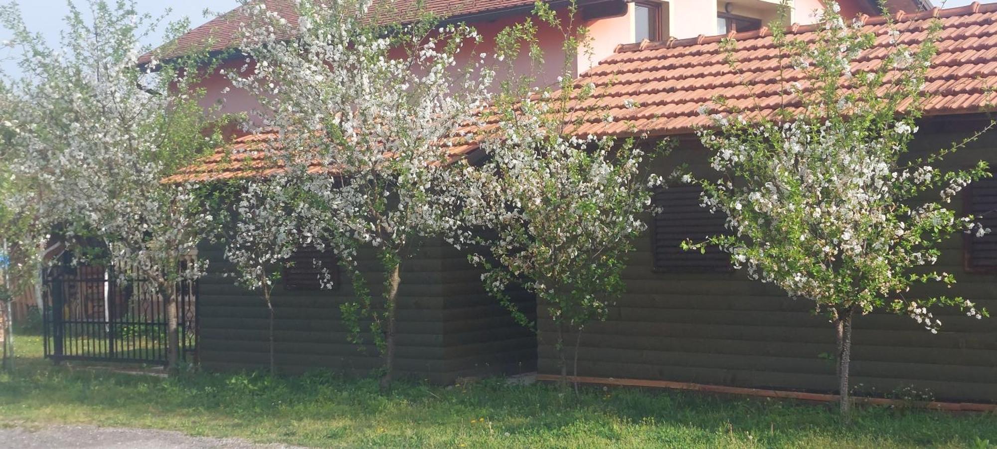 Kod Ane Lägenhet Belavici Exteriör bild