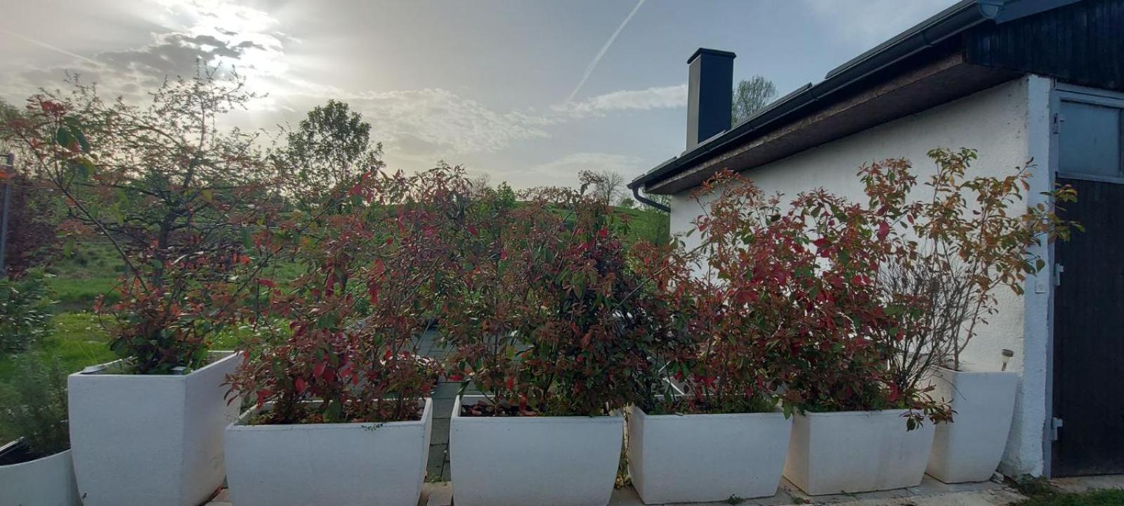 Kod Ane Lägenhet Belavici Exteriör bild